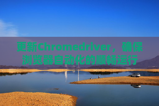 更新Chromedriver，确保浏览器自动化的顺畅运行